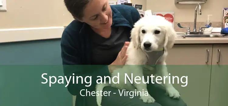 Spaying and Neutering Chester - Virginia
