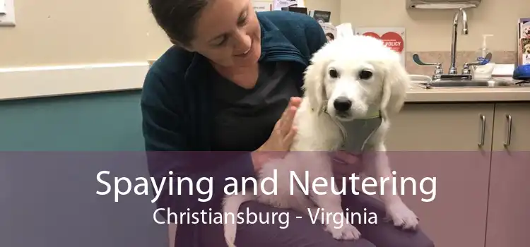 Spaying and Neutering Christiansburg - Virginia