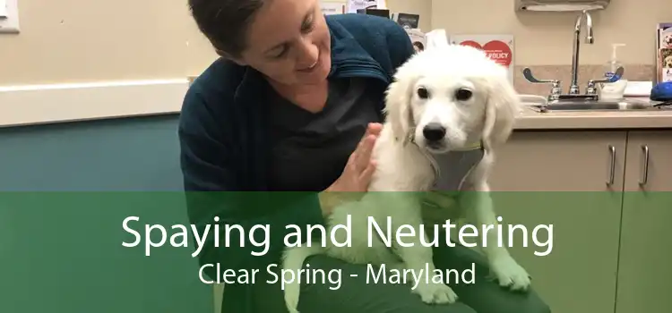 Spaying and Neutering Clear Spring - Maryland