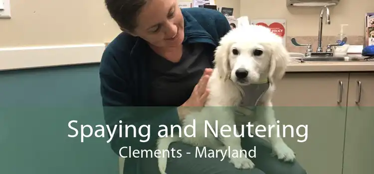 Spaying and Neutering Clements - Maryland
