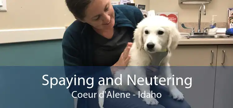 Spaying and Neutering Coeur d'Alene - Idaho