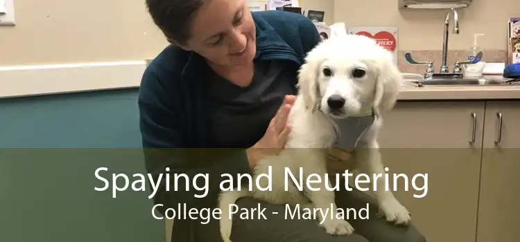 Spaying and Neutering College Park - Maryland
