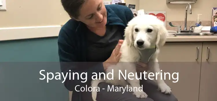Spaying and Neutering Colora - Maryland