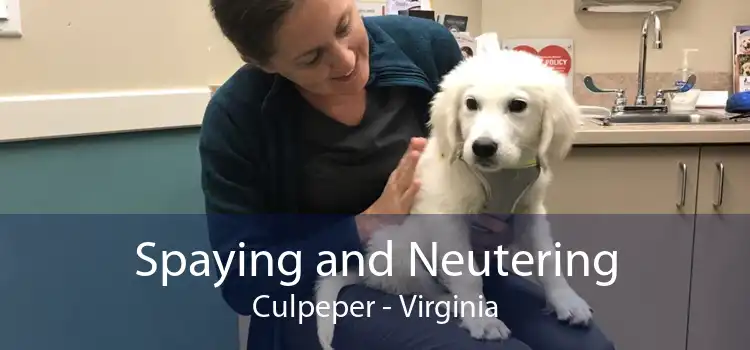 Spaying and Neutering Culpeper - Virginia
