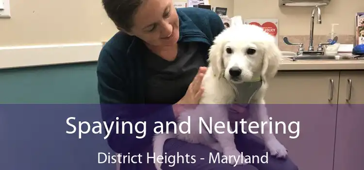 Spaying and Neutering District Heights - Maryland