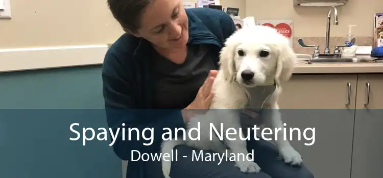 Spaying and Neutering Dowell - Maryland