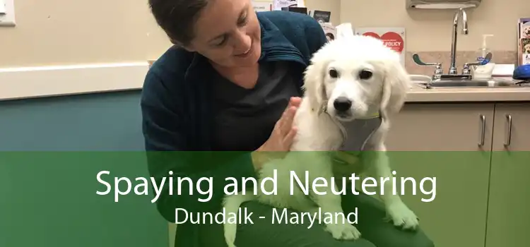 Spaying and Neutering Dundalk - Maryland