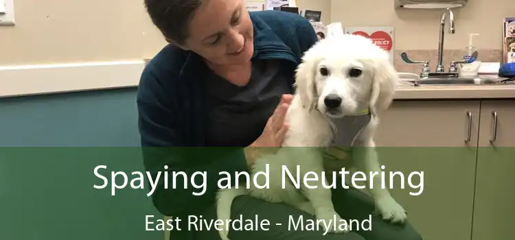 Spaying and Neutering East Riverdale - Maryland