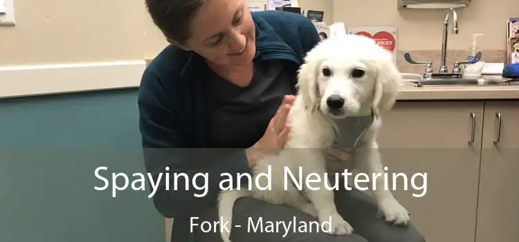 Spaying and Neutering Fork - Maryland