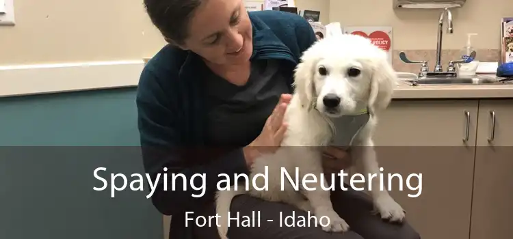 Spaying and Neutering Fort Hall - Idaho