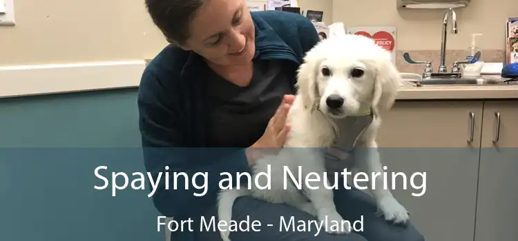 Spaying and Neutering Fort Meade - Maryland
