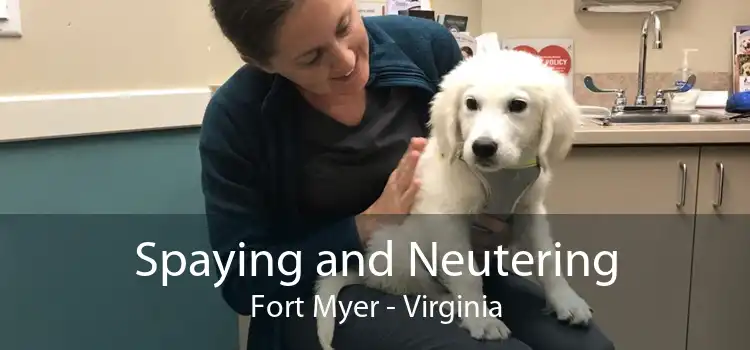 Spaying and Neutering Fort Myer - Virginia