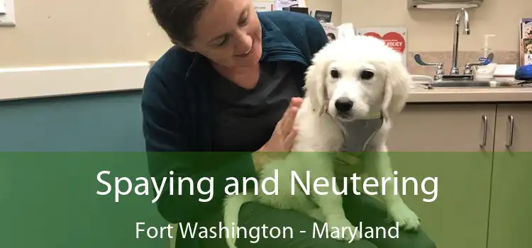 Spaying and Neutering Fort Washington - Maryland