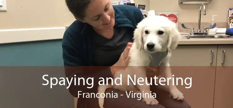 Spaying and Neutering Franconia - Virginia