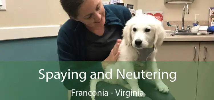 Spaying and Neutering Franconia - Virginia