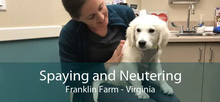 Spaying and Neutering Franklin Farm - Virginia