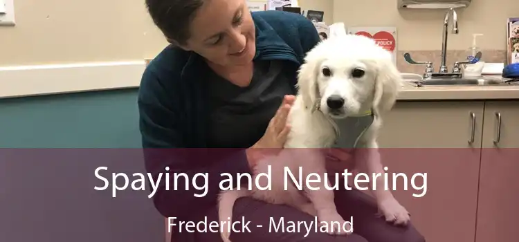Spaying and Neutering Frederick - Maryland