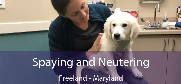 Spaying and Neutering Freeland - Maryland