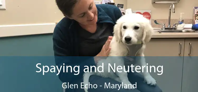 Spaying and Neutering Glen Echo - Maryland