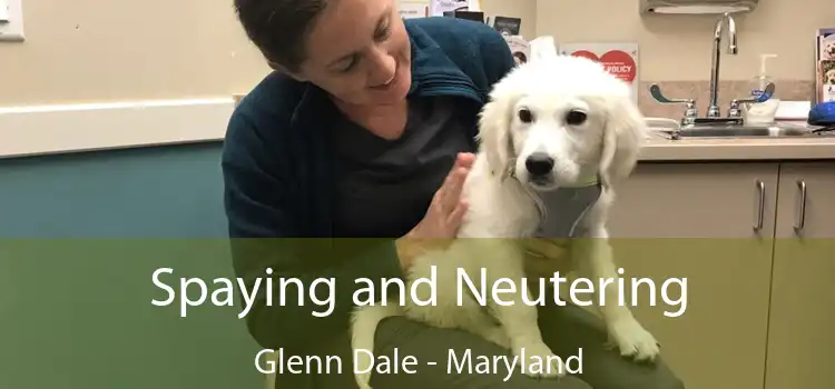 Spaying and Neutering Glenn Dale - Maryland