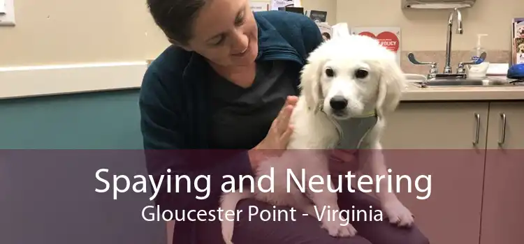 Spaying and Neutering Gloucester Point - Virginia