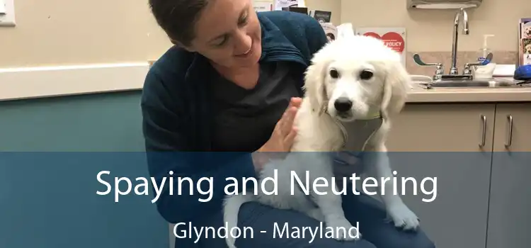 Spaying and Neutering Glyndon - Maryland