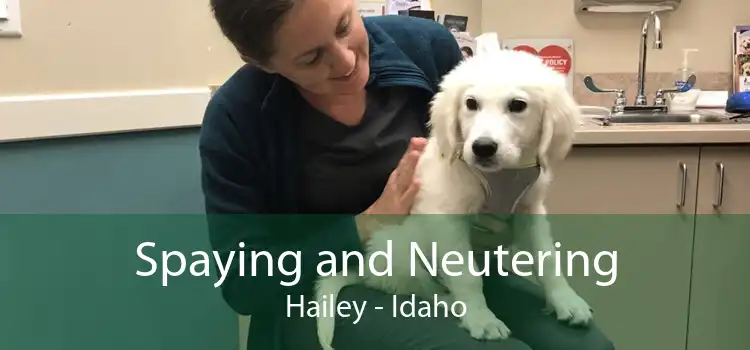 Spaying and Neutering Hailey - Idaho