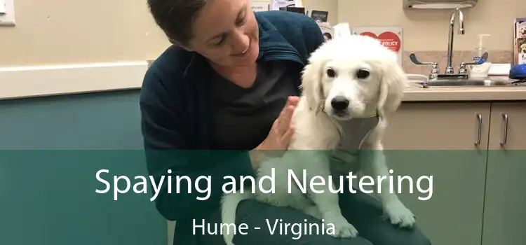 Spaying and Neutering Hume - Virginia