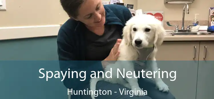 Spaying and Neutering Huntington - Virginia