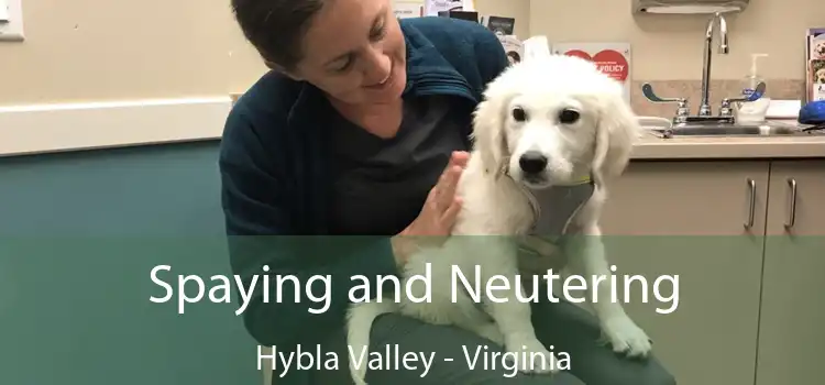Spaying and Neutering Hybla Valley - Virginia