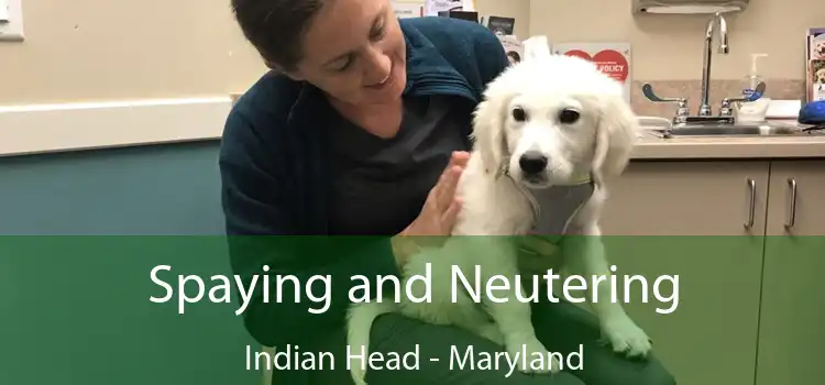 Spaying and Neutering Indian Head - Maryland