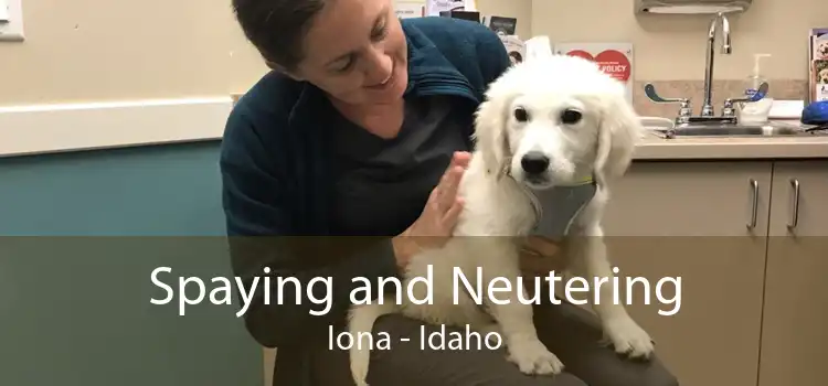 Spaying and Neutering Iona - Idaho