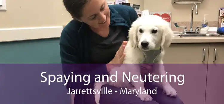 Spaying and Neutering Jarrettsville - Maryland