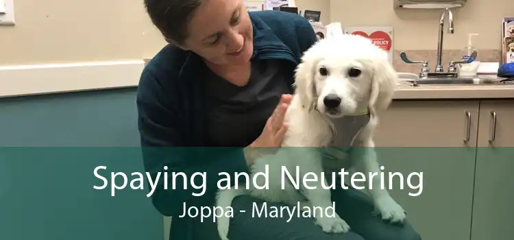 Spaying and Neutering Joppa - Maryland