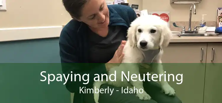 Spaying and Neutering Kimberly - Idaho