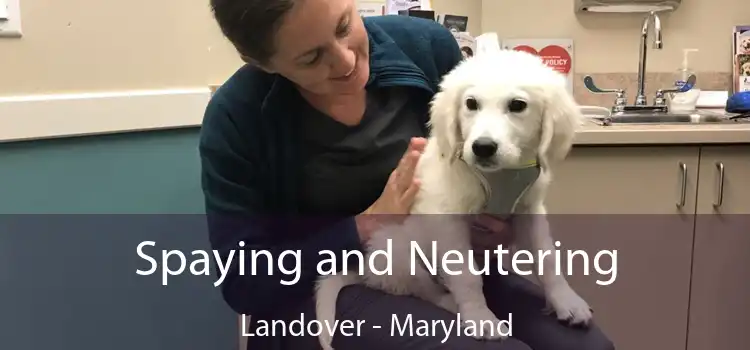 Spaying and Neutering Landover - Maryland