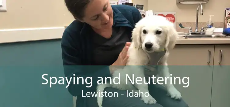 Spaying and Neutering Lewiston - Idaho