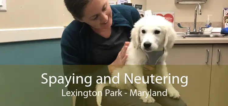 Spaying and Neutering Lexington Park - Maryland