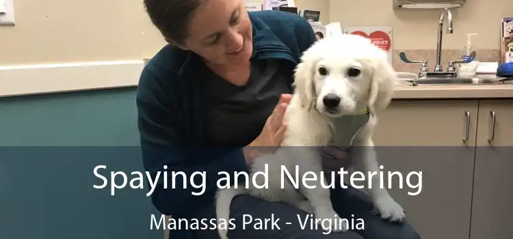 Spaying and Neutering Manassas Park - Virginia