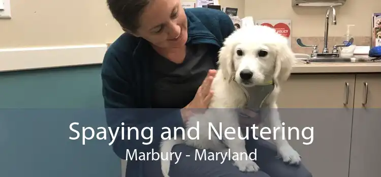 Spaying and Neutering Marbury - Maryland