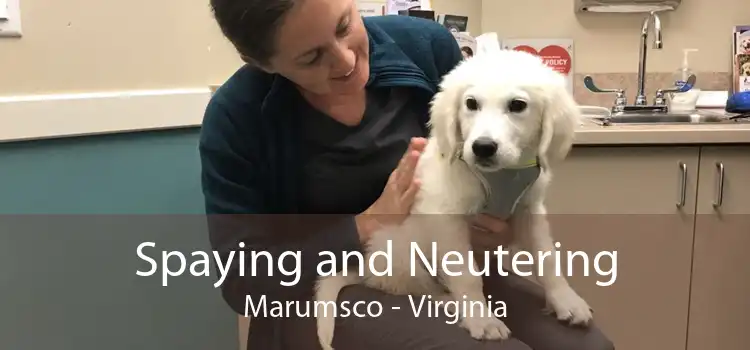 Spaying and Neutering Marumsco - Virginia