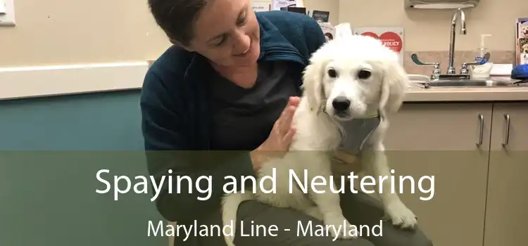 Spaying and Neutering Maryland Line - Maryland