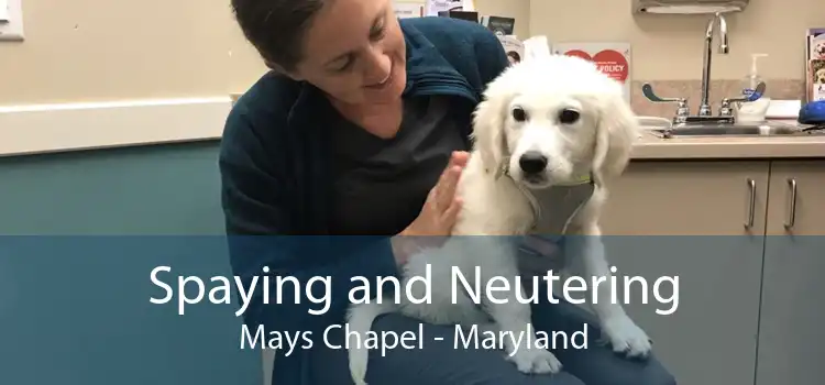 Spaying and Neutering Mays Chapel - Maryland