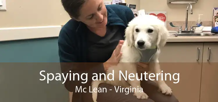 Spaying and Neutering Mc Lean - Virginia
