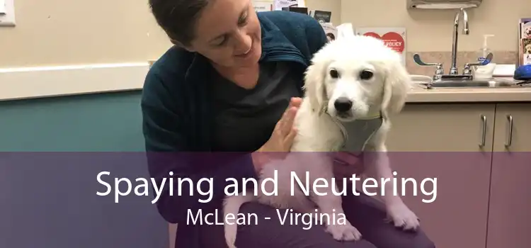 Spaying and Neutering McLean - Virginia