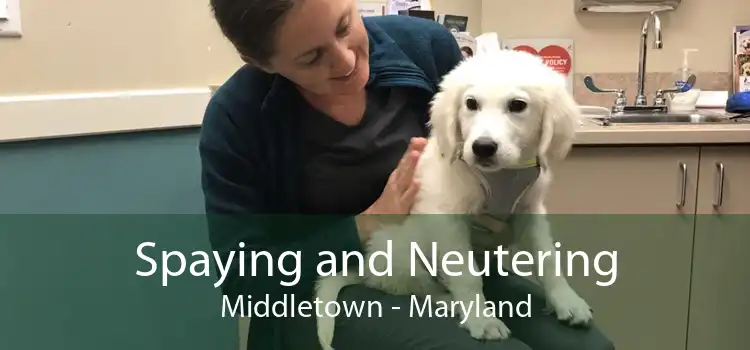 Spaying and Neutering Middletown - Maryland