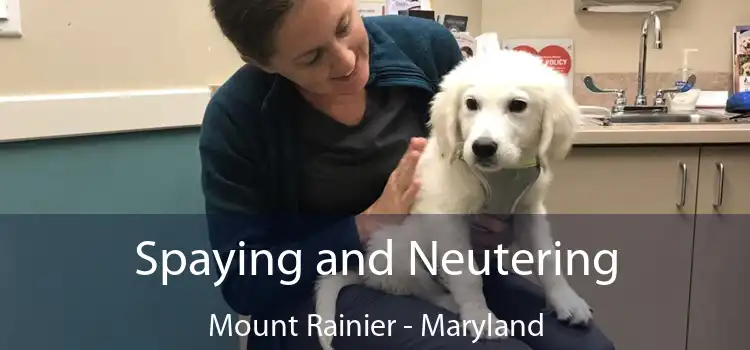 Spaying and Neutering Mount Rainier - Maryland