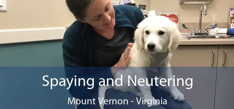 Spaying and Neutering Mount Vernon - Virginia