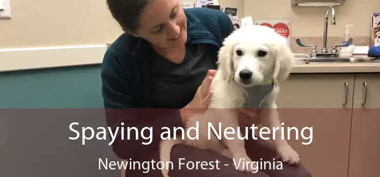 Spaying and Neutering Newington Forest - Virginia