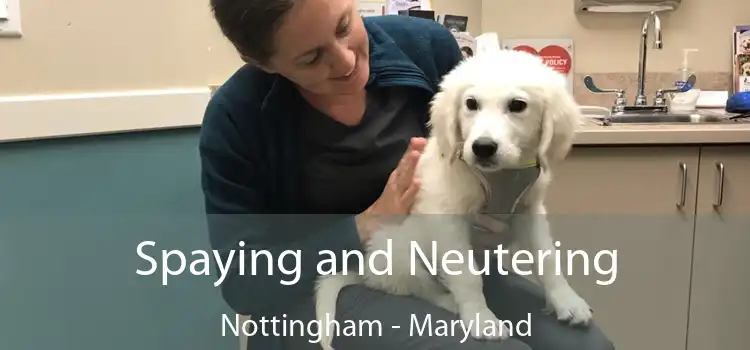 Spaying and Neutering Nottingham - Maryland
